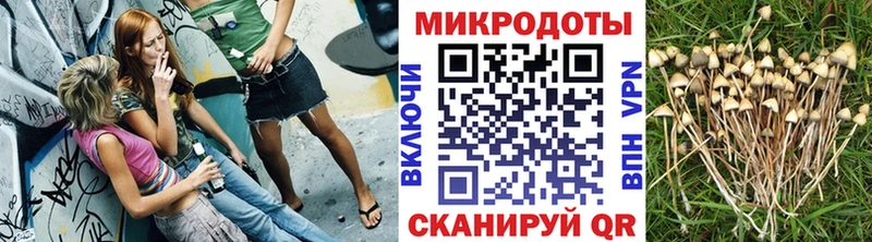 Псилоцибиновые грибы Cubensis  Белокуриха 